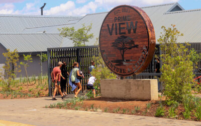 Why you should become a Prime View member today